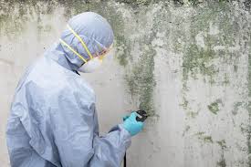 Best HVAC Mold Inspection and Cleaning  in Tumter, WA